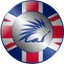 GBPSAFO logo