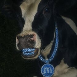 MOO logo