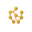 PARALOOM logo