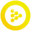 RLC logo