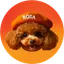 ROSA logo
